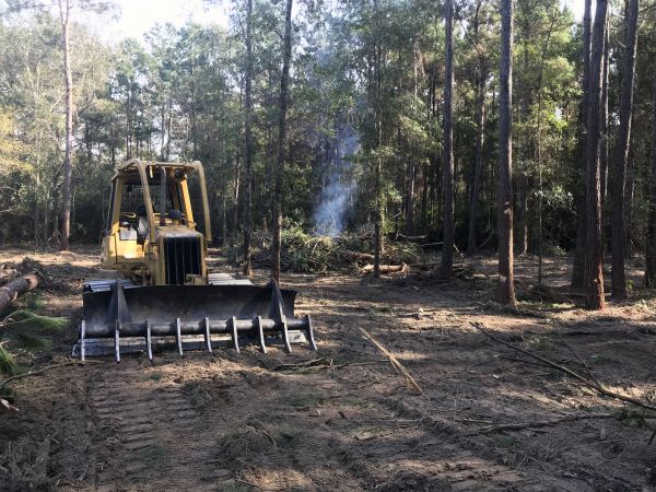 West Des Moines Land Clearing